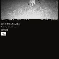 Screenshot 20241027-203553 spypoint
