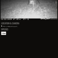 Screenshot 20241027-203600 spypoint