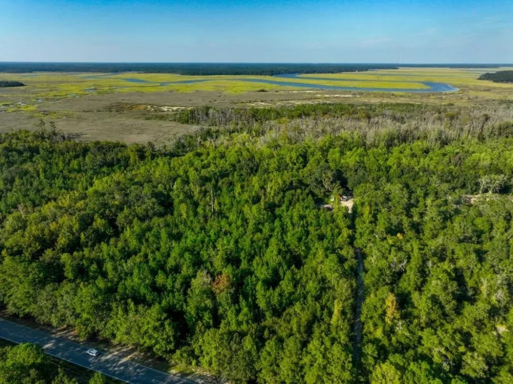 Sapelo River Marsh Homestead Hunting Land for Sale HuntingLocator