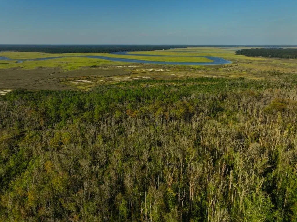 Sapelo River Marsh Homestead Hunting Land for Sale HuntingLocator