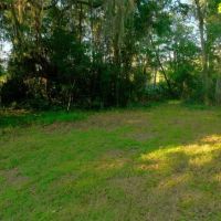 Sapelo River Marsh Homestead images 4