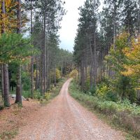 12 acre Northern Adirondack Land Malone NY images 2