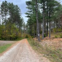 12 acre Northern Adirondack Land Malone NY images 3
