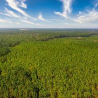 Hilltop Timberland images 2
