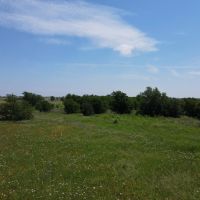 Land for Sale in Crawford Texas images 4