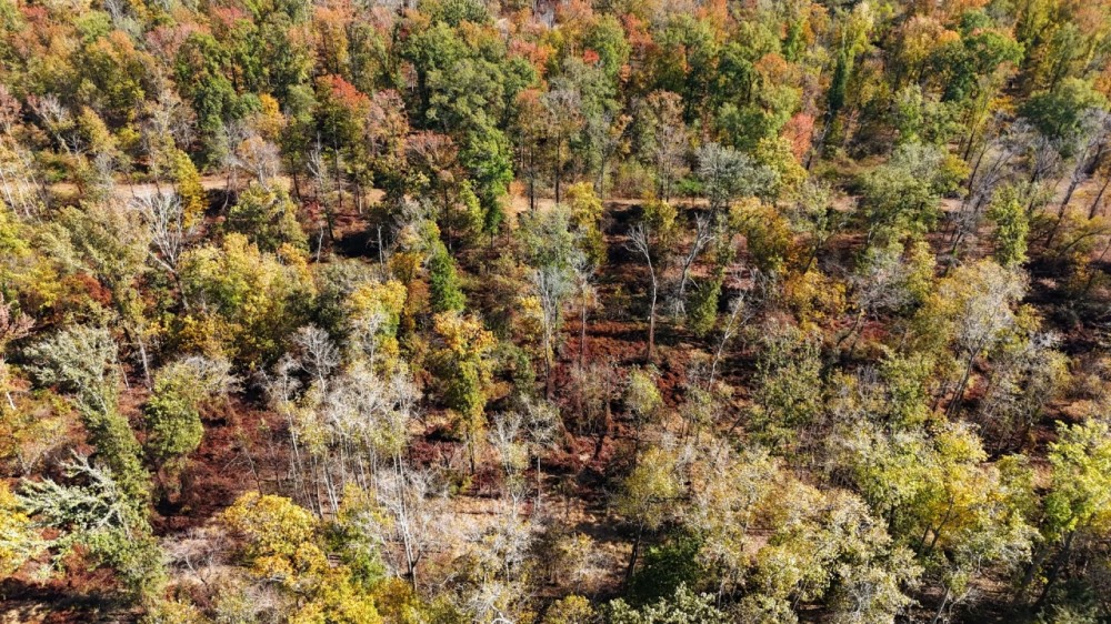 280 Acres in Tallahatchie County MS featured image