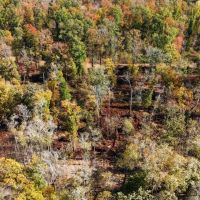 280 Acres in Tallahatchie County MS