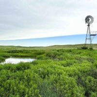 Wallahachie Ranch images 2