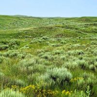 Wallahachie Ranch images 5