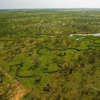 133.25 Acres of Recreational Land in Jack and Young County images 3