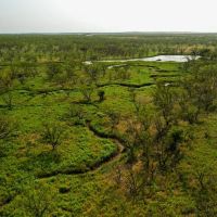 133.25 Acres of Recreational Land in Jack and Young County images 5