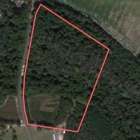 15.65 acres of Recreational and Hunting Land For Sale in Bladen County NC