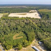 15.65 acres of Recreational and Hunting Land For Sale in Bladen County NC images 2