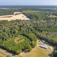 15.65 acres of Recreational and Hunting Land For Sale in Bladen County NC images 3