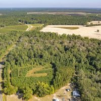 15.65 acres of Recreational and Hunting Land For Sale in Bladen County NC images 5