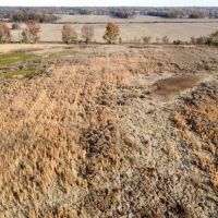 Tonymon Farm images 2