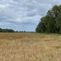 Tonymon Farm images 3