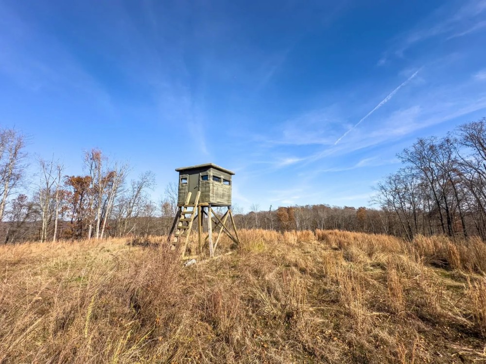 Hager Hill Rd - 189 acres - Lincoln County featured image