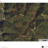 Hager Hill Rd - 189 acres - Lincoln County images 3