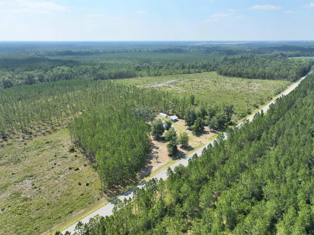 505 - Ac River Road Farm for Sale in Charlton County GA featured image