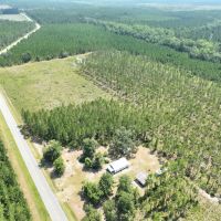 505 - Ac River Road Farm for Sale in Charlton County GA images 2