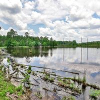 Duck Roost Plantation images 3