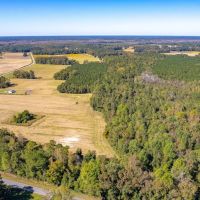 9.3 acres of Residential and Recreational Land For Sale in Columbus County NC images 2