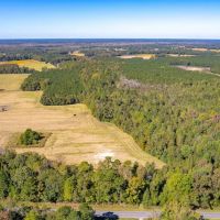9.3 acres of Residential and Recreational Land For Sale in Columbus County NC images 3