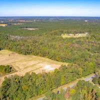 9.3 acres of Residential and Recreational Land For Sale in Columbus County NC images 4