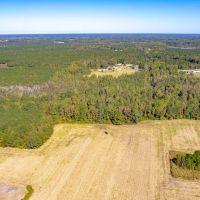 9.3 acres of Residential and Recreational Land For Sale in Columbus County NC images 5
