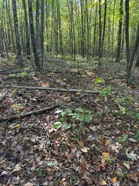 Lot 16 E Bobcat Lane featured image