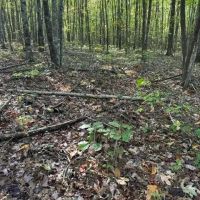 Lot 16 E Bobcat Lane