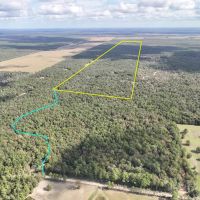 728 Acres Off Garcia Road