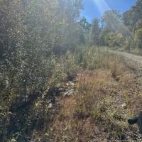 Lot 36 Buckeye Lane