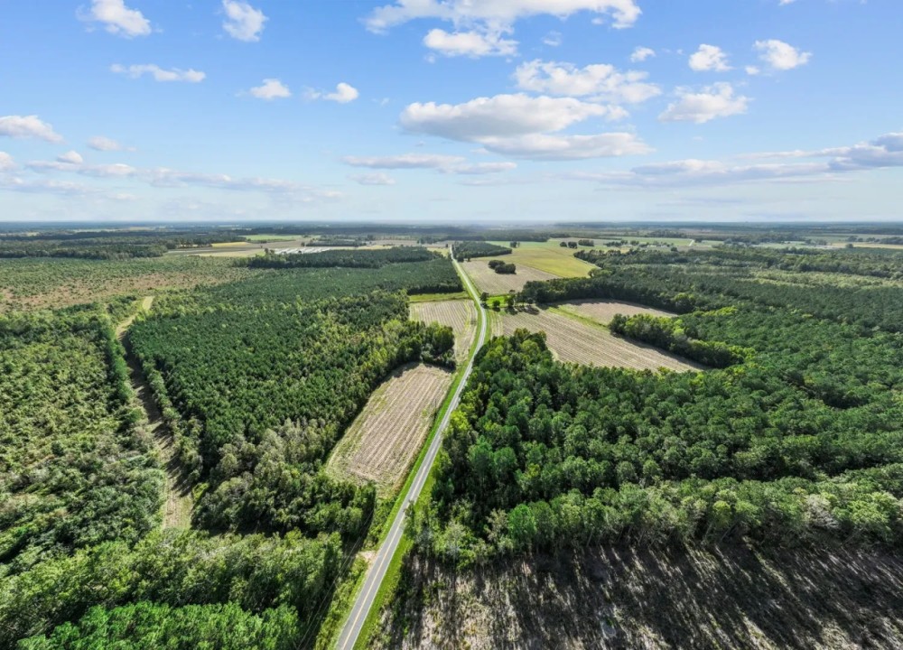 475-Acre Prime Hunting Land for Sale in Pitt County NC featured image