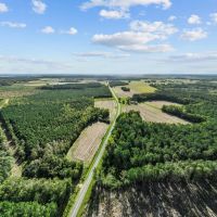 475-Acre Prime Hunting Land for Sale in Pitt County NC