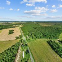 475-Acre Prime Hunting Land for Sale in Pitt County NC images 2