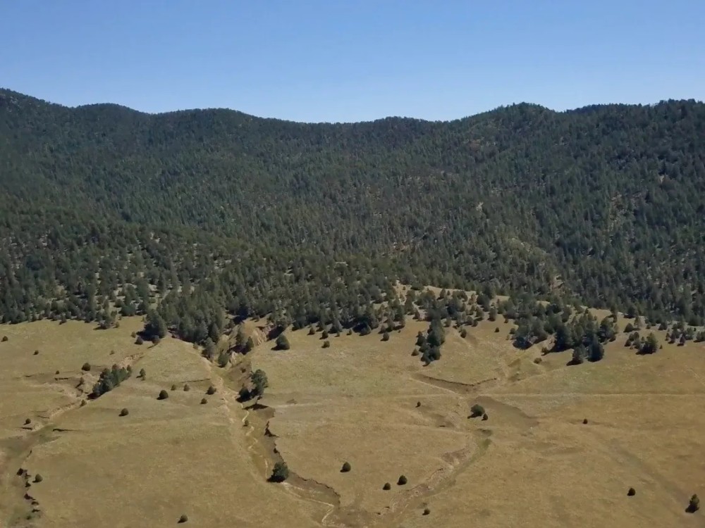 Romero Hills Ranch featured image