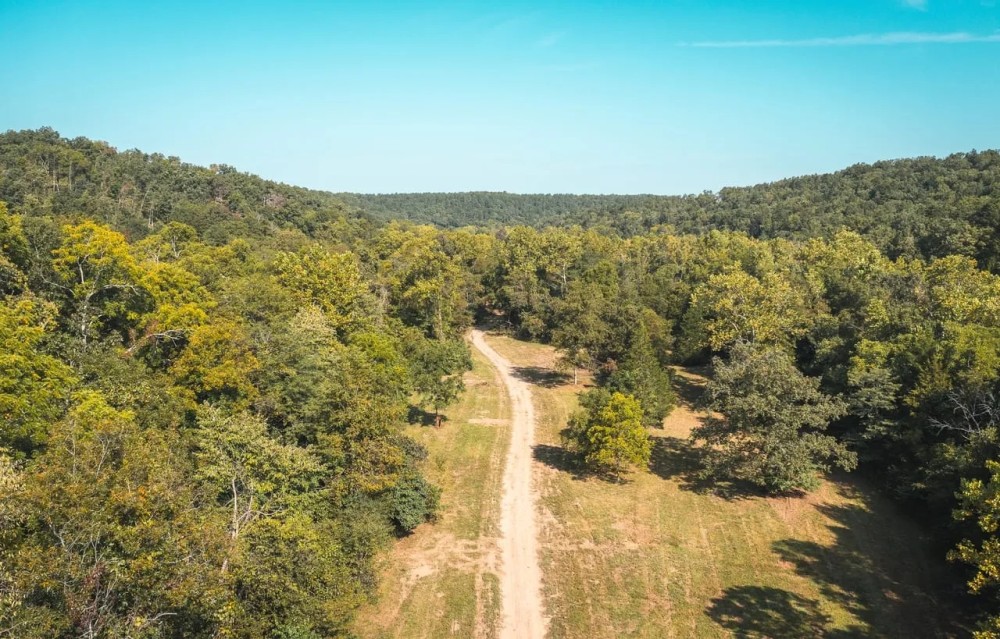 Paddy Creek Wilderness-Tract 1A featured image