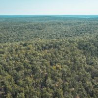 Paddy Creek Wilderness-Tract 1A images 2