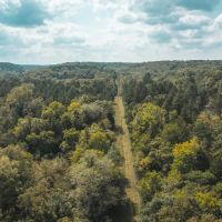 Paddy Creek Wilderness-Tract 1A images 3