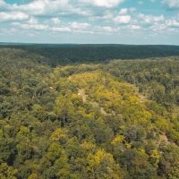 Paddy Creek Wilderness-Tract 1A images 5