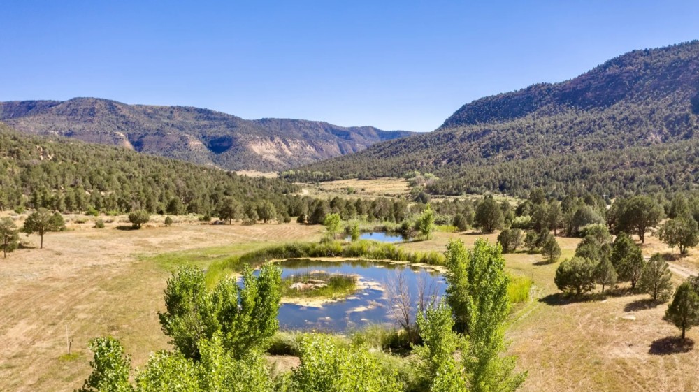Weber Creek Ranch featured image