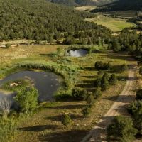 Weber Creek Ranch images 4
