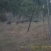 Turkey Ridge Ranch Hunting images 3