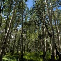 Lobe Creek Ranch images 2