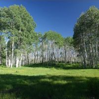 Lobe Creek Ranch images 3