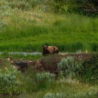 Lobe Creek Ranch images 5