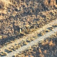 Barnitz Creek 600 images 4