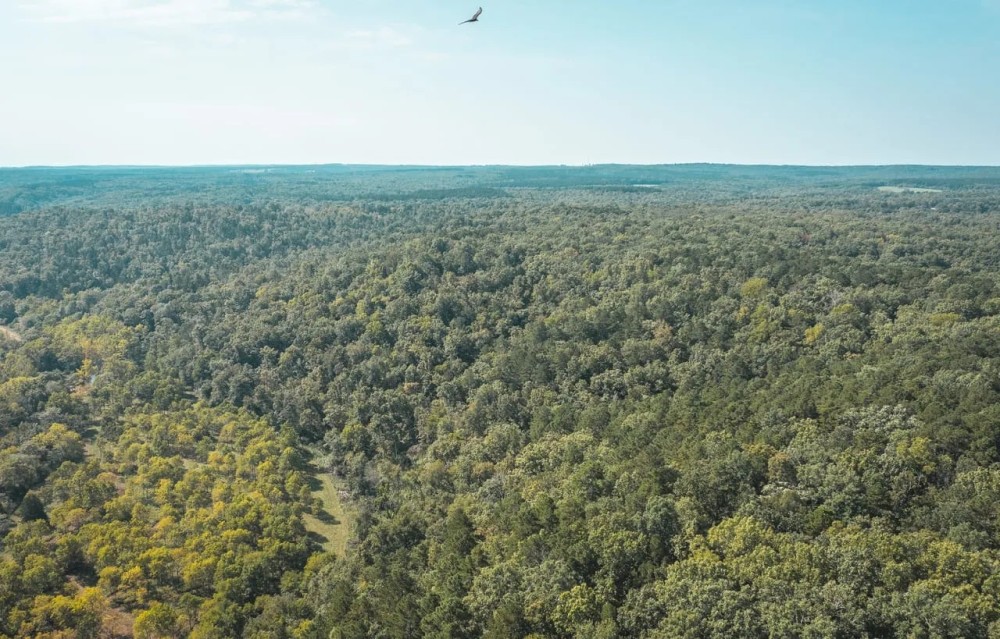 Paddy Creek Wilderness-Tract 6 featured image